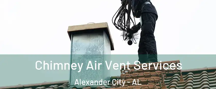  Chimney Air Vent Services Alexander City - AL
