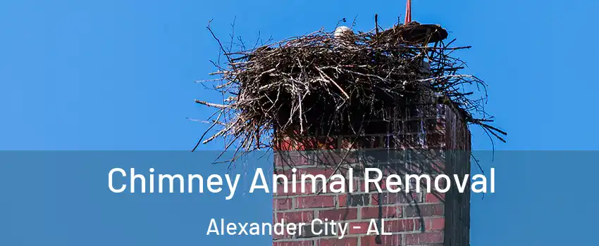  Chimney Animal Removal Alexander City - AL