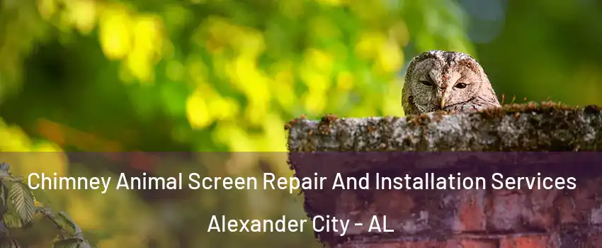  Chimney Animal Screen Repair And Installation Services Alexander City - AL
