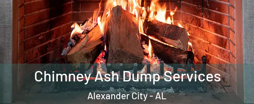  Chimney Ash Dump Services Alexander City - AL