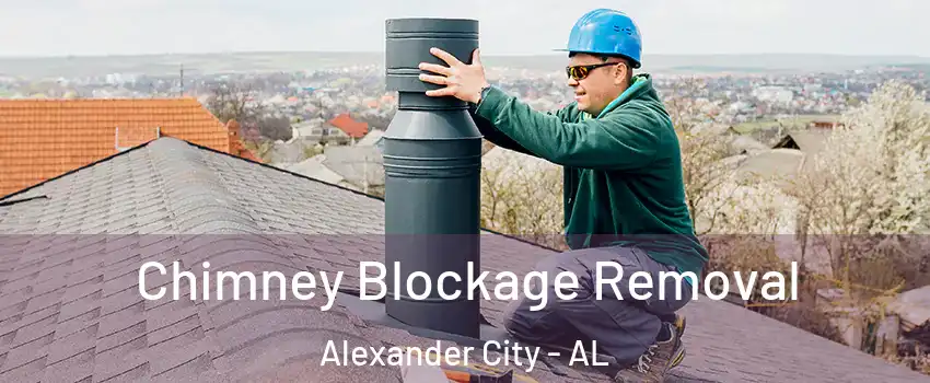  Chimney Blockage Removal Alexander City - AL