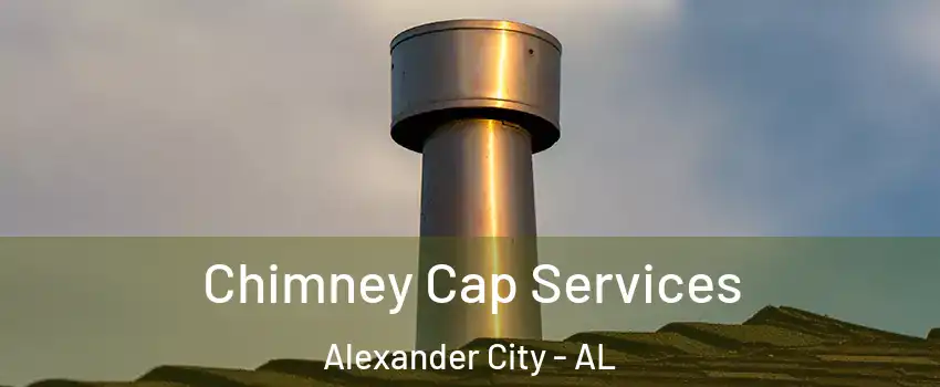  Chimney Cap Services Alexander City - AL