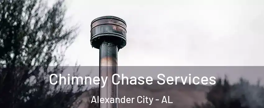  Chimney Chase Services Alexander City - AL