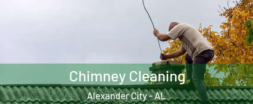  Chimney Cleaning Alexander City - AL