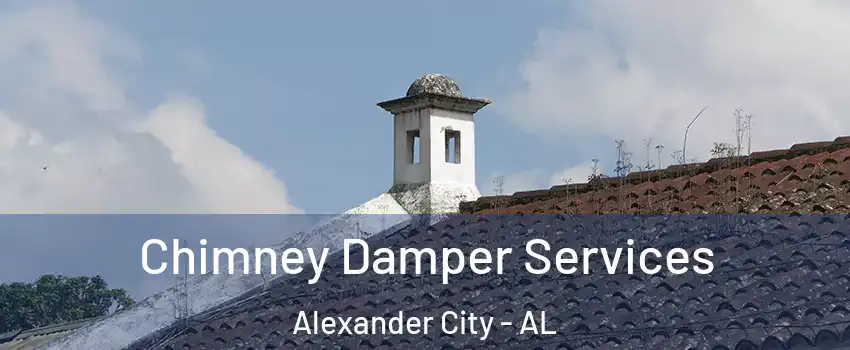  Chimney Damper Services Alexander City - AL