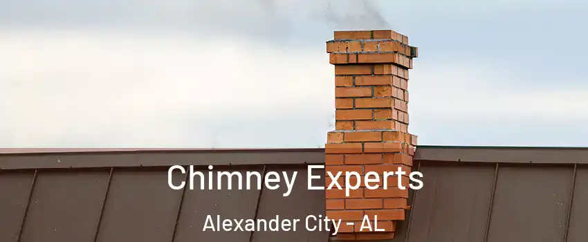  Chimney Experts Alexander City - AL