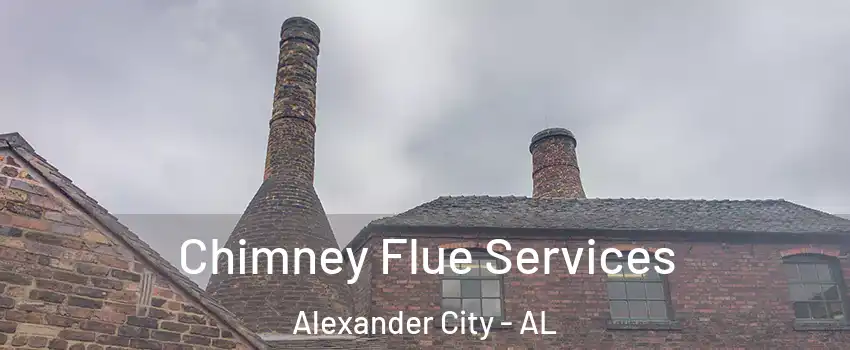  Chimney Flue Services Alexander City - AL