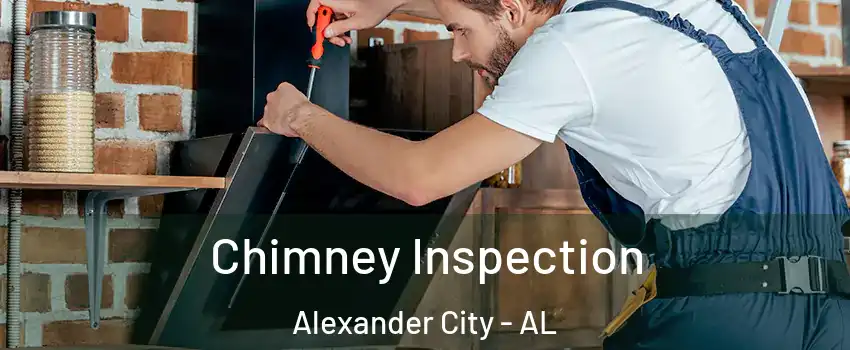  Chimney Inspection Alexander City - AL