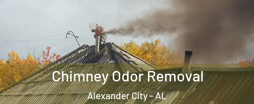  Chimney Odor Removal Alexander City - AL