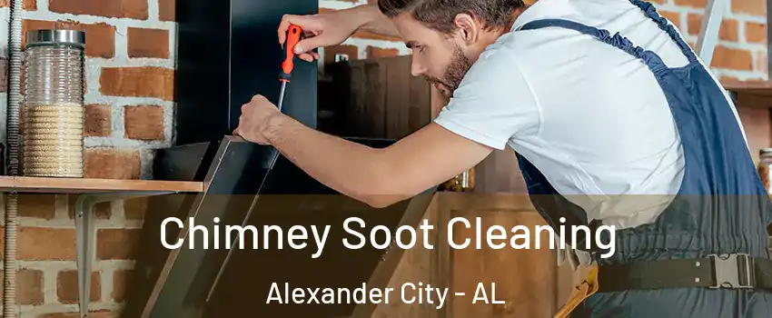  Chimney Soot Cleaning Alexander City - AL