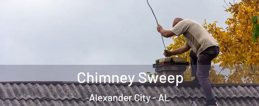  Chimney Sweep Alexander City - AL
