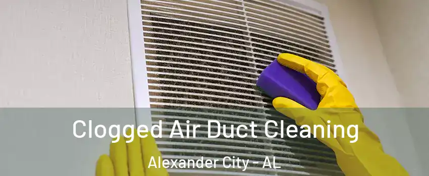  Clogged Air Duct Cleaning Alexander City - AL