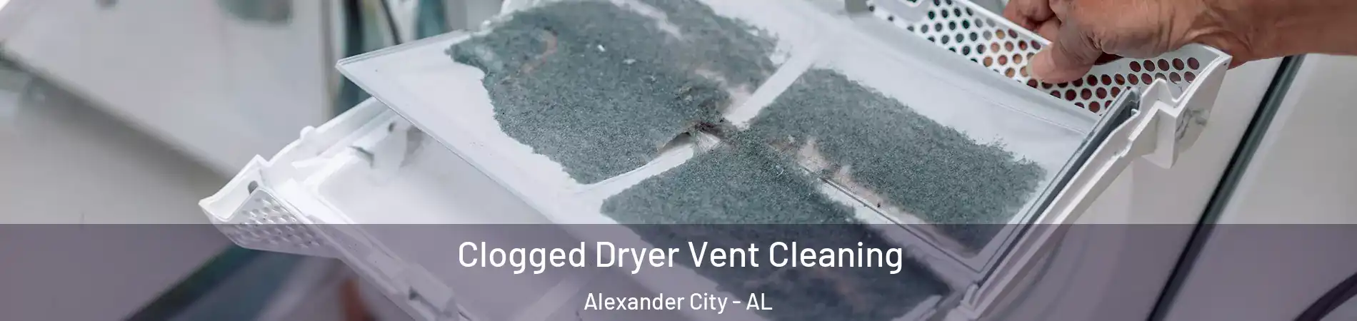 Clogged Dryer Vent Cleaning Alexander City - AL