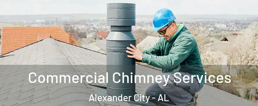  Commercial Chimney Services Alexander City - AL