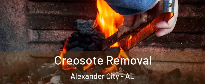  Creosote Removal Alexander City - AL
