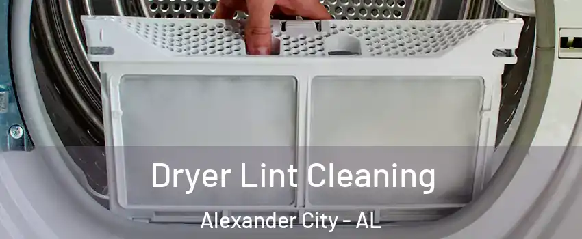  Dryer Lint Cleaning Alexander City - AL
