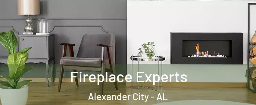  Fireplace Experts Alexander City - AL