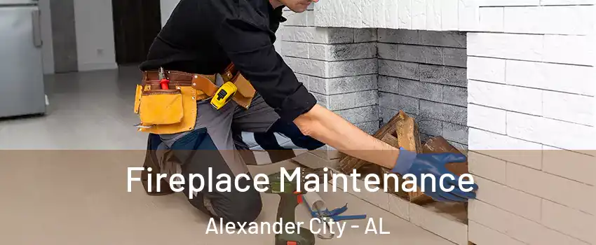  Fireplace Maintenance Alexander City - AL