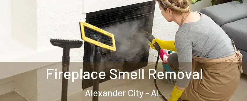  Fireplace Smell Removal Alexander City - AL