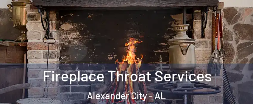  Fireplace Throat Services Alexander City - AL