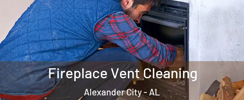  Fireplace Vent Cleaning Alexander City - AL