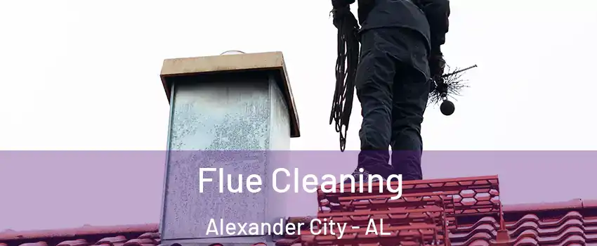  Flue Cleaning Alexander City - AL