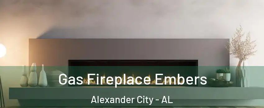  Gas Fireplace Embers Alexander City - AL