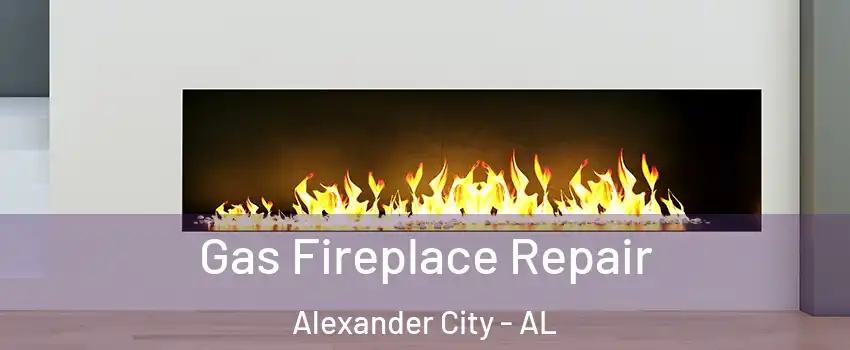  Gas Fireplace Repair Alexander City - AL