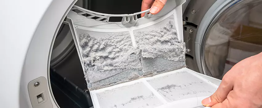 Best Dryer Lint Removal Company in Alexander City, Alabama