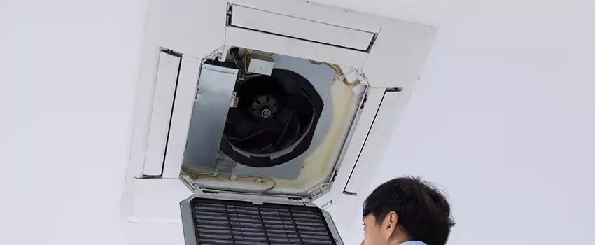 Benefits of Professional Air Duct Cleaning in Alexander City, Alabama