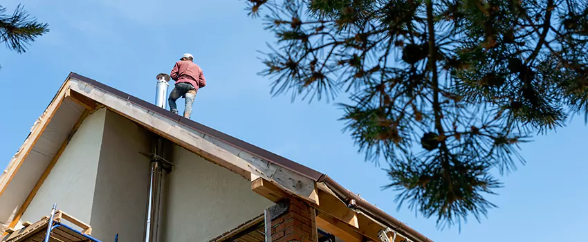 Birds Removal Contractors from Chimney in Alexander City, AL