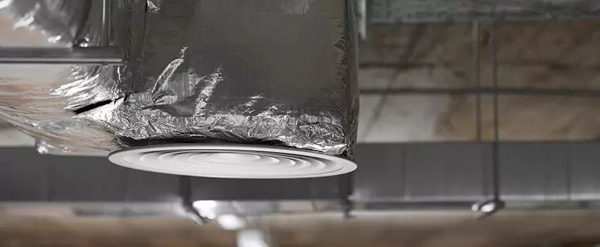 Signs of Dust Accumulation in Vents in Alexander City, AL