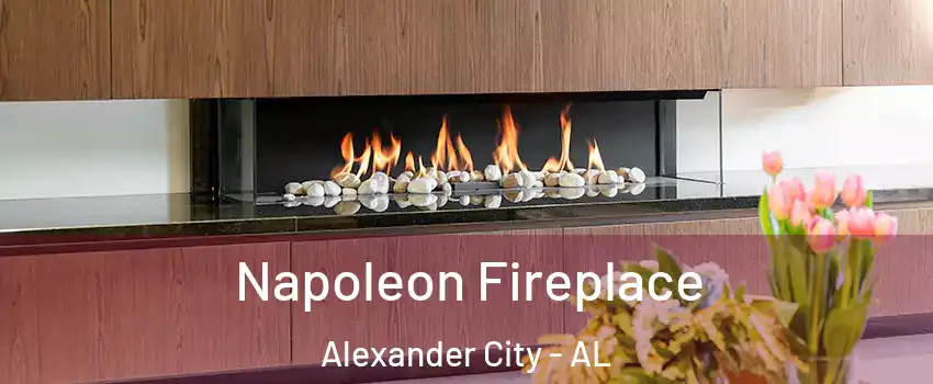  Napoleon Fireplace Alexander City - AL