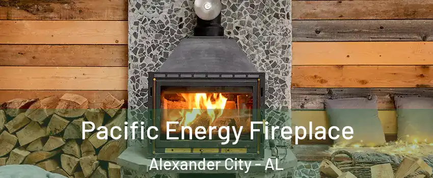  Pacific Energy Fireplace Alexander City - AL