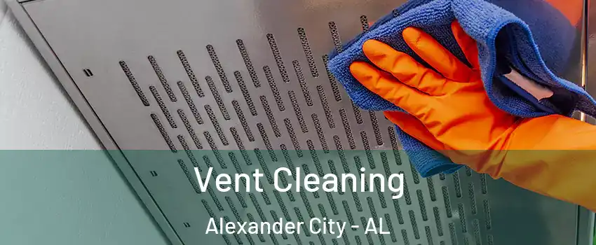  Vent Cleaning Alexander City - AL